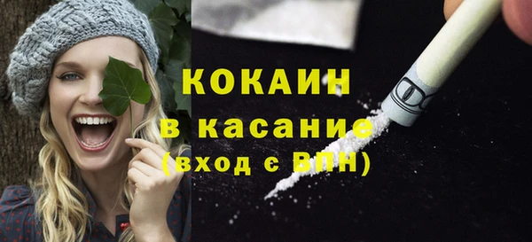 дживик Майский