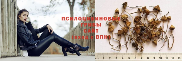 spice Магадан