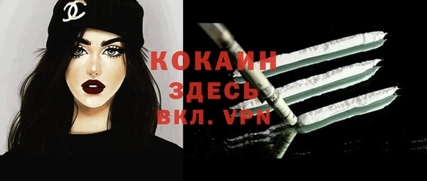 дживик Майский