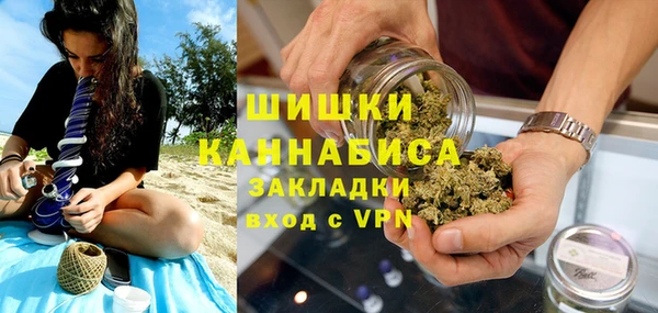 дживик Майский