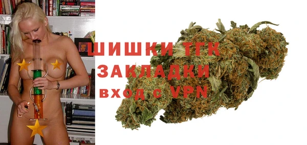 дживик Майский