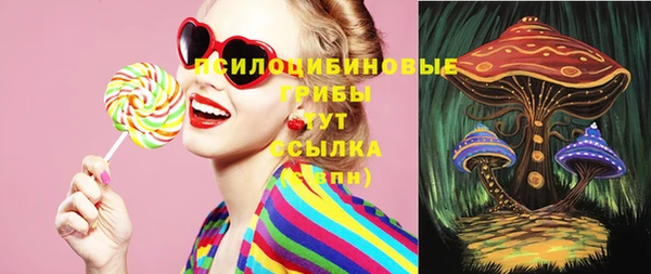 spice Магадан