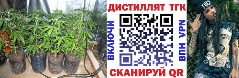 Дистиллят ТГК гашишное масло  Купить закладки  Пятигорск 