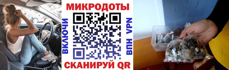Купить где  Пятигорск  Галлюциногенные грибы Psilocybe 
